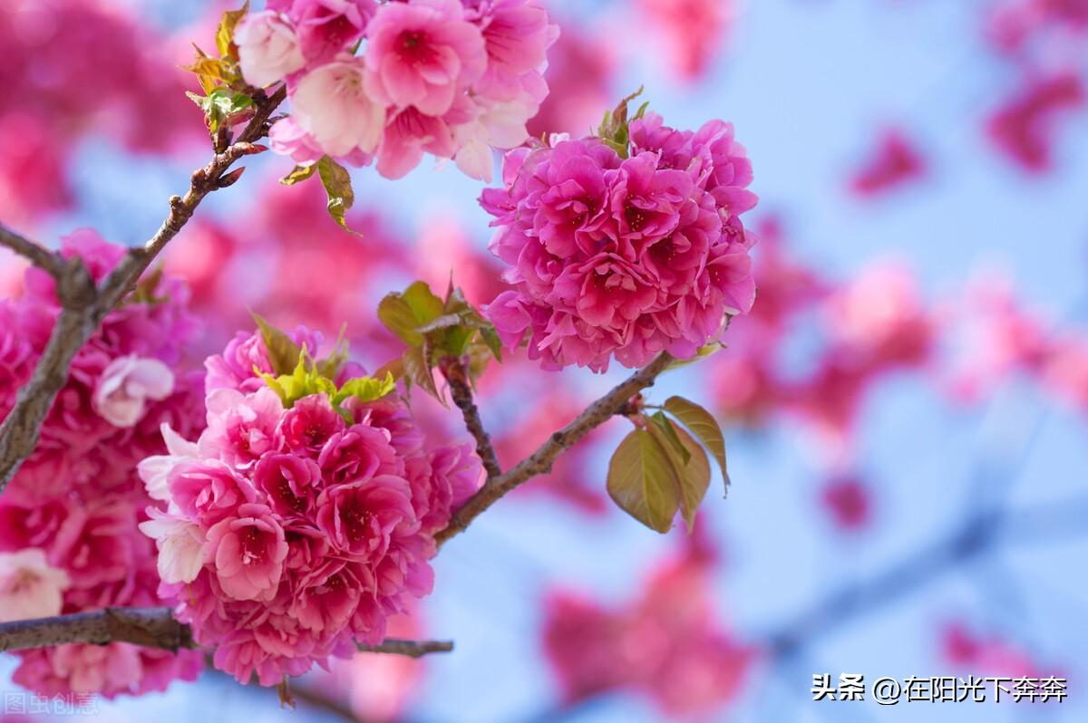 遵义茅坡水库最新动态更新,最新消息汇总