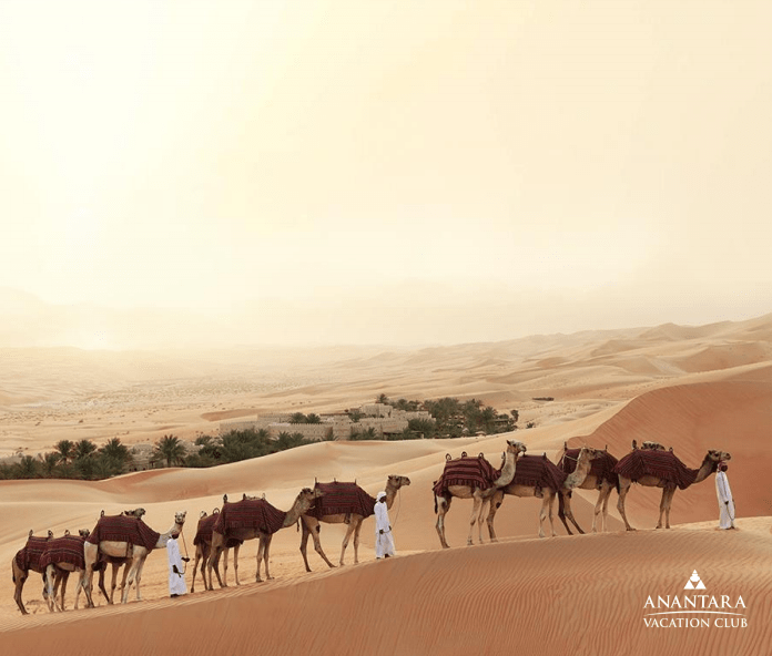 比特犬酷魄最新动态,自然美景探索之旅启程