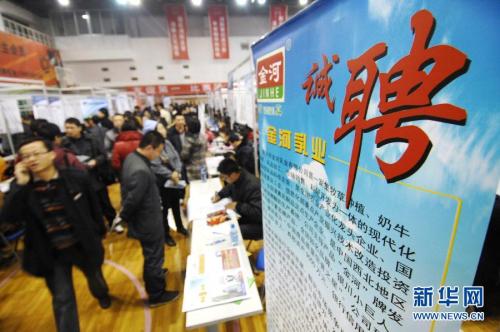 宁夏招聘会最新信息及其深度论述分析