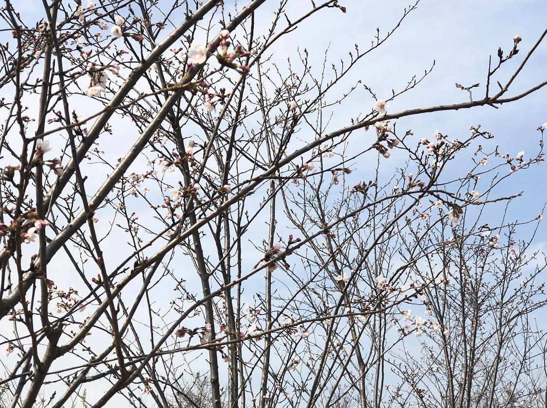 仪征市最新城市规划图,自然美景的探索之旅