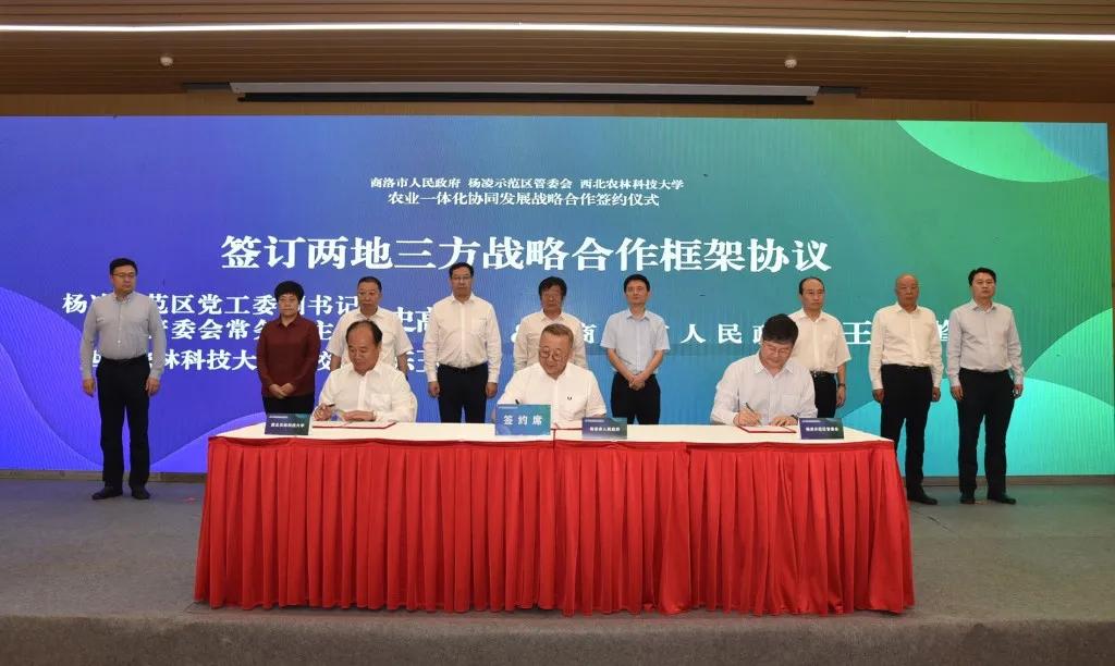 杨凌人才网最新招聘信息汇总🌟