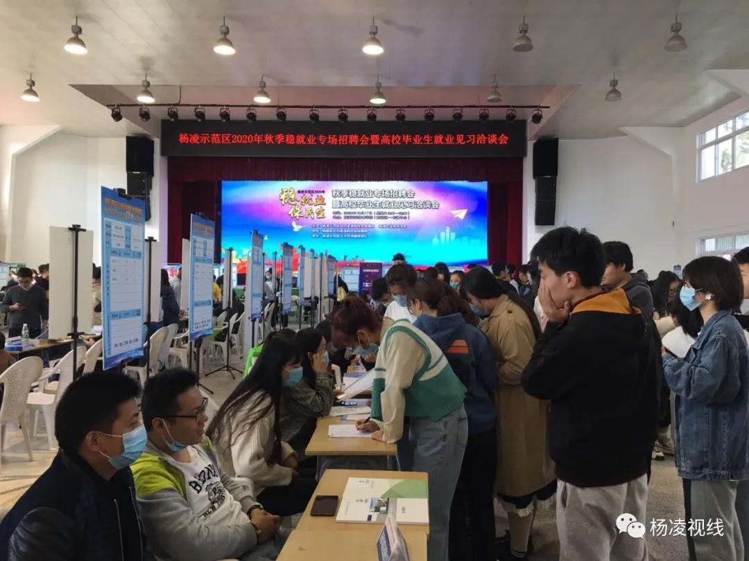 杨凌人才网最新招聘信息汇总🌟