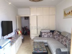 东方郡二手房最新价格揭秘,巷弄深处的隐藏宝藏探索之旅