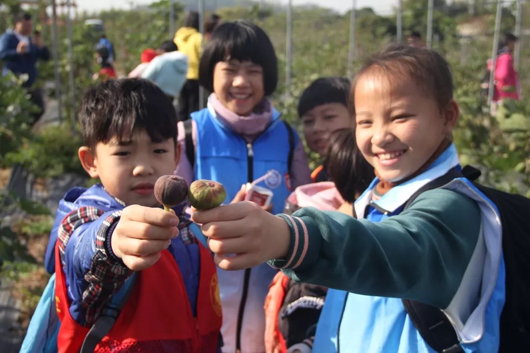 最新时事动态与探索自然美景之旅的双重体验报道