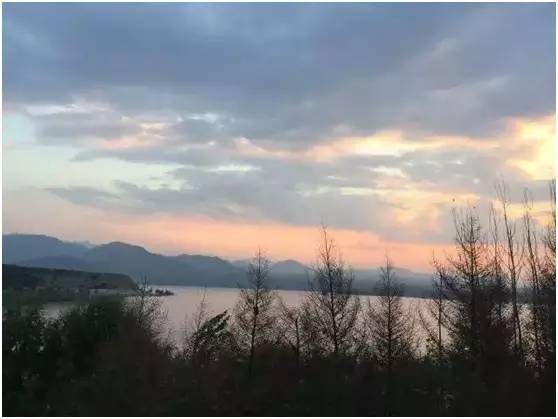 最新打野达摩,自然美景探索之旅