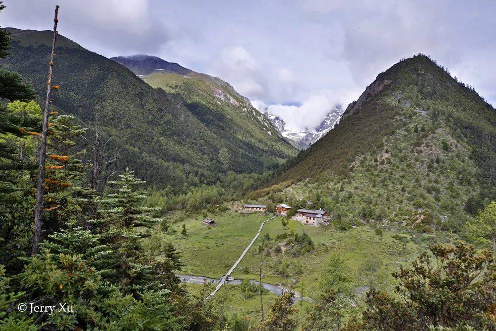 最新打野达摩,自然美景探索之旅