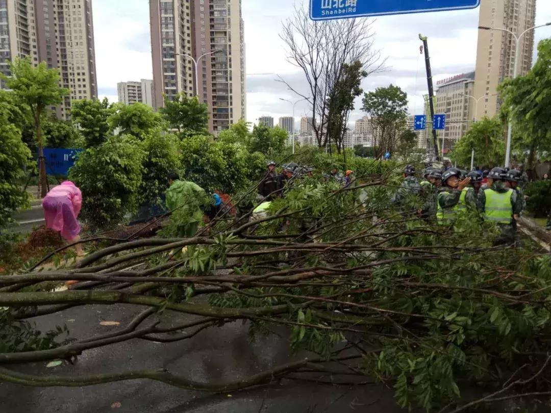 台风警报,追逐自然美景的冒险与挑战