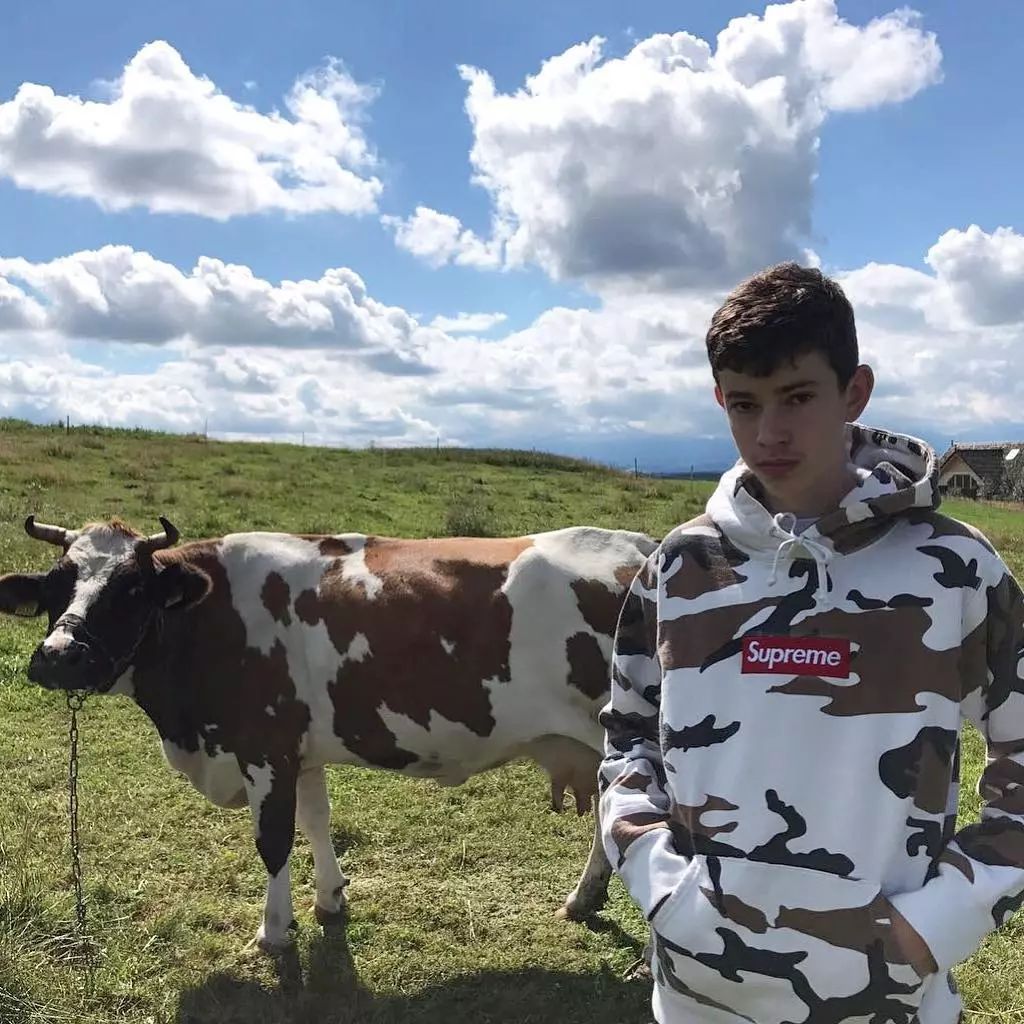 科技与艺术融合,最新潮墙纸重塑生活美学