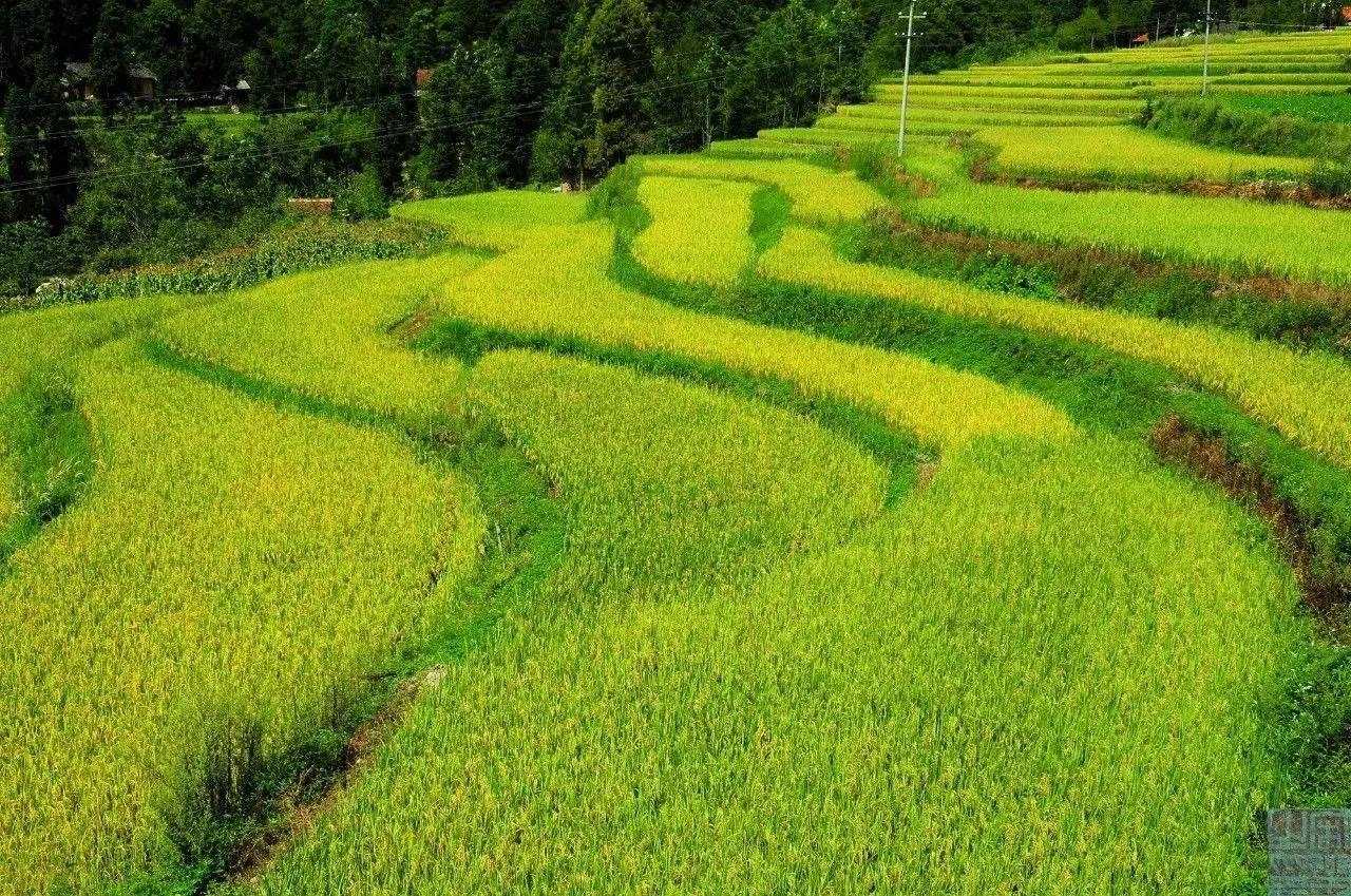 勉县最新规划,探索自然美景的轻松之旅启程了