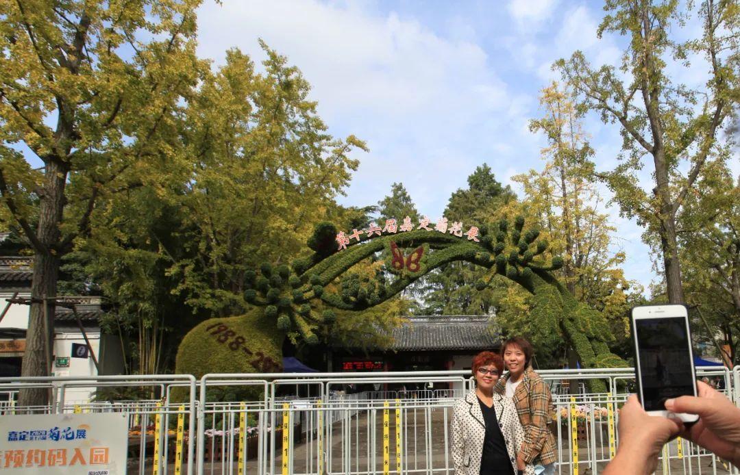 探索自然美景之旅,最新插求,寻找内心平和之地