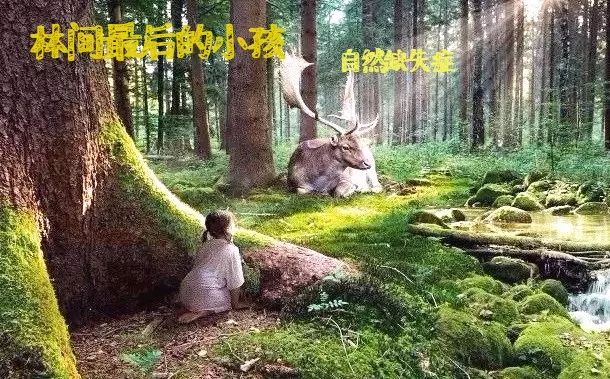 海尔最新款法式，自然美景的探索之旅