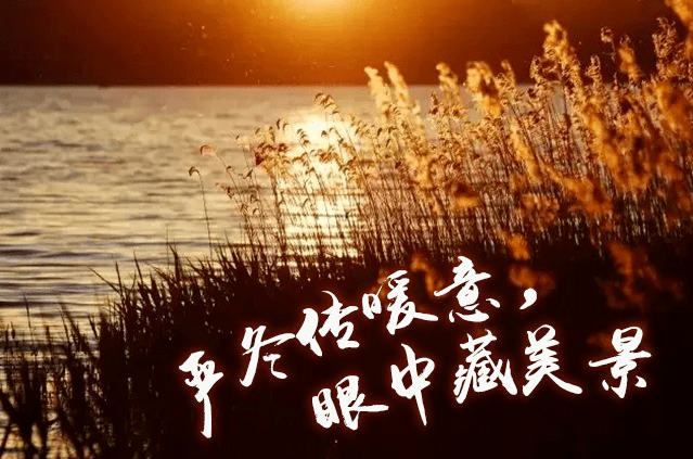 腊八节,自然美景的探索之旅,寻找内心的平和与宁静