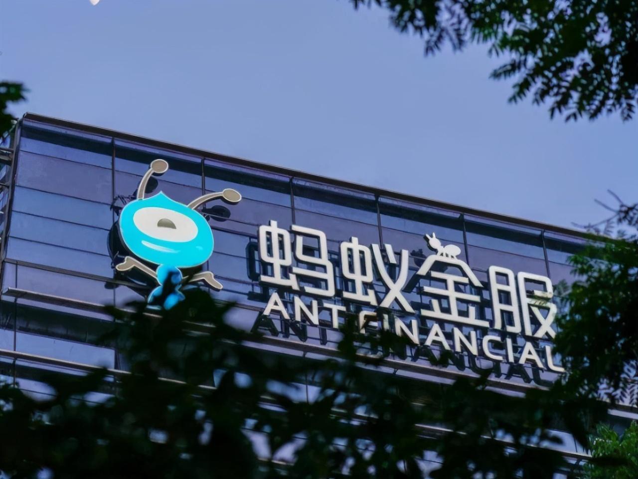 今日蚂蚁最新上市消息及观点论述分析