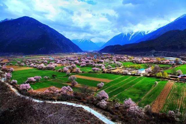 龙岩市长引领的自然美景探索之旅