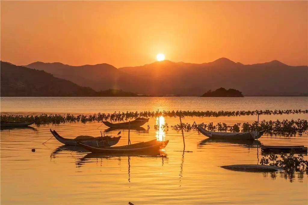 赢捕鱼最新版,小巷深处的美食探秘之旅