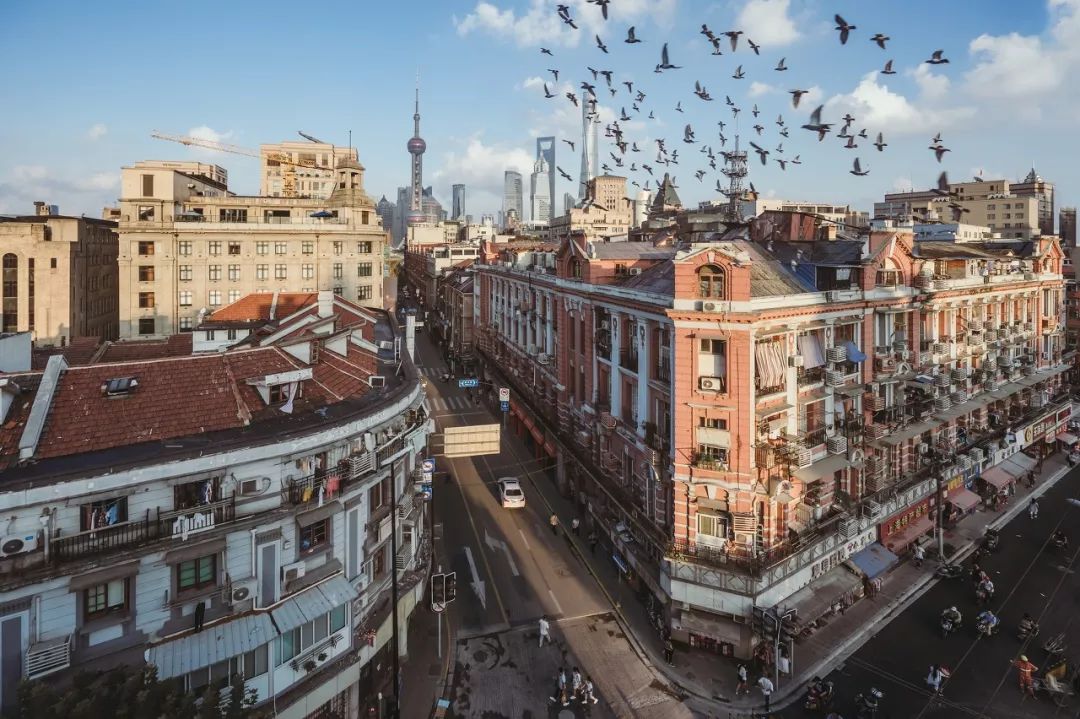 上海最新一例,自然美景之旅,探寻内心平和的旅程