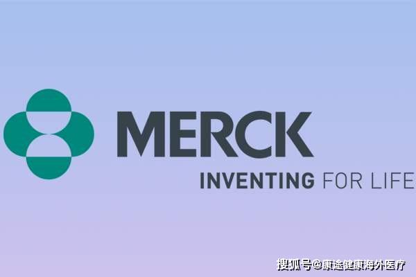 美莎克最新动态与信息概述🌟