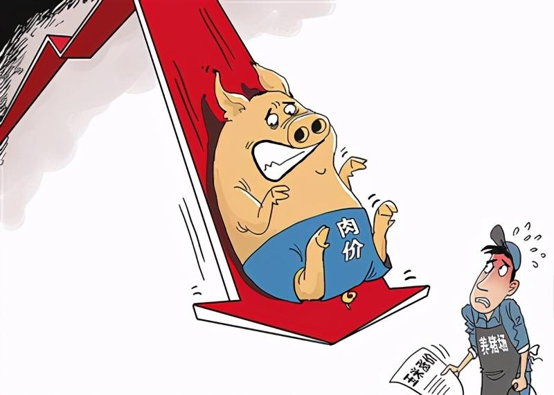 今日生猪最新价格与市场走势下的多元观点分析