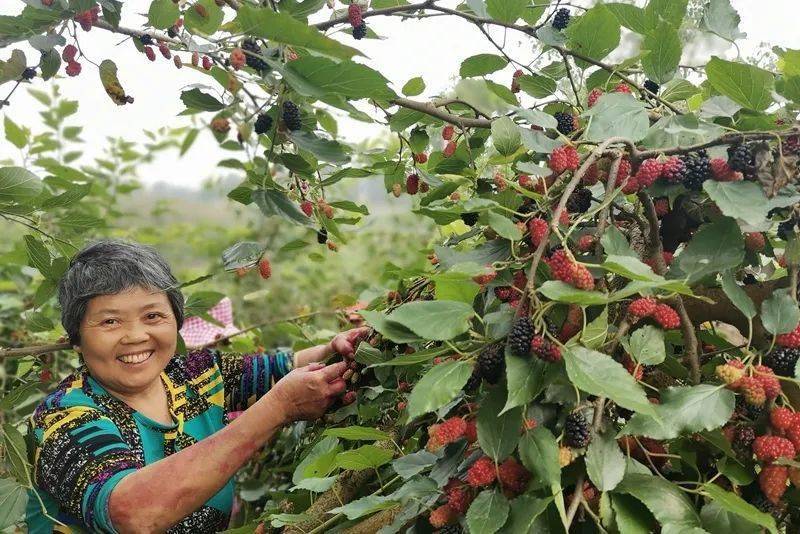热威最新招聘信息及求职全攻略概览