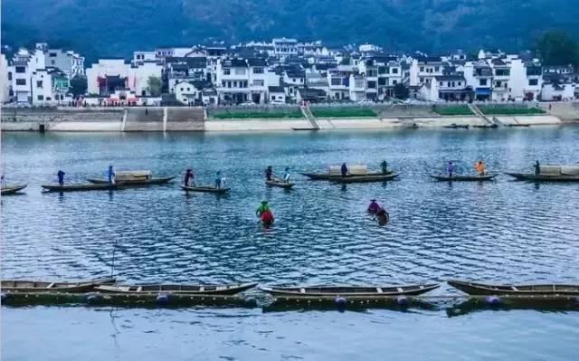 武汉最新发现，探索自然美景的奇妙之旅，寻找内心平静之旅