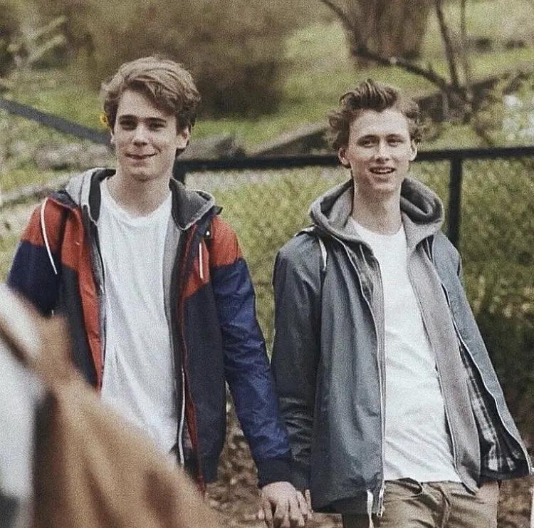 最新国产腐剧介绍及关联特色小店探索