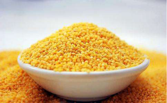 小米最新手机与小巷中的隐藏美食宝藏