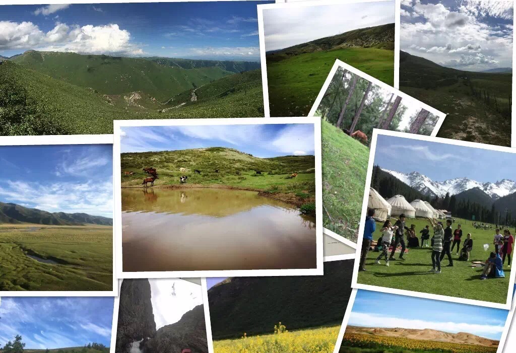 新疆疫情最新动态下的自然美景探索之旅