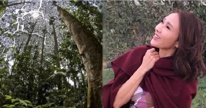 最新的开放格局,最新的开放格局，一场与自然美景的亲密旅行
