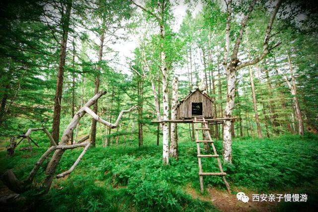 自然美景探索 第11页