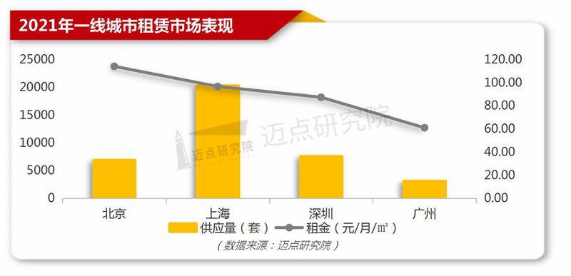 棉城最新租房动态，热点与趋势深度解析