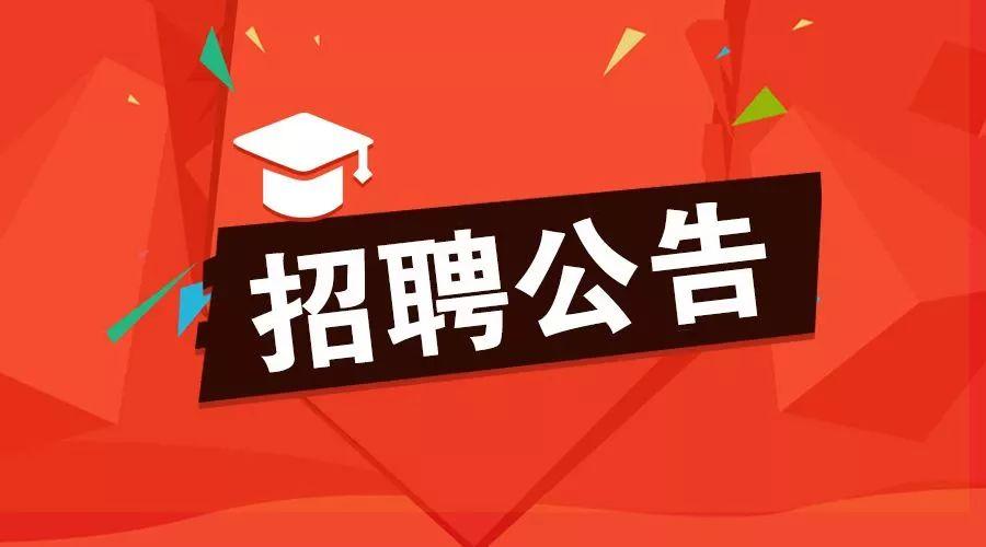 中国纺织行业最新招聘资讯，职场与友情的交织故事