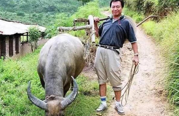 最新农业信息,全身心数据计划_时尚版94.627