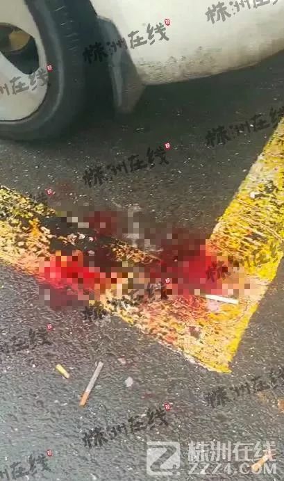 最新砍人事件,实证分析详细枕_酷炫版94.512