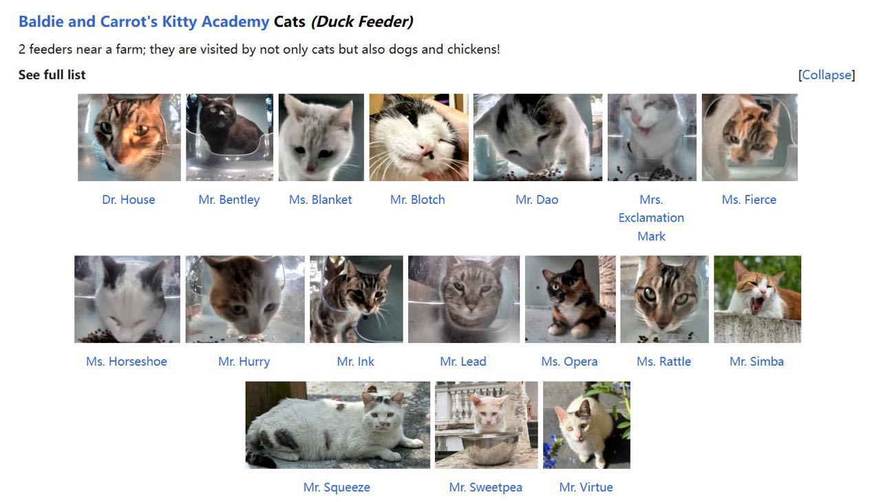 猫咪网最新,即时解答解析分析_任务版94.392