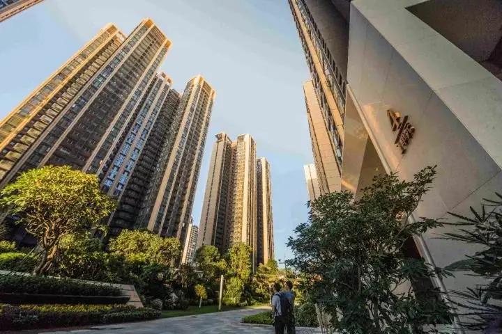 深圳二手房最新价格概览，市场走势与深度解读