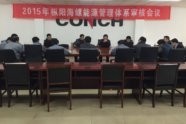 枞阳最新新闻报道更新速递