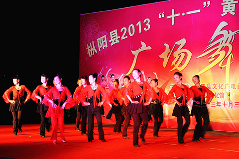 枞阳最新新闻报道更新速递