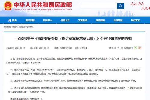 最新婚姻条例解读与概述