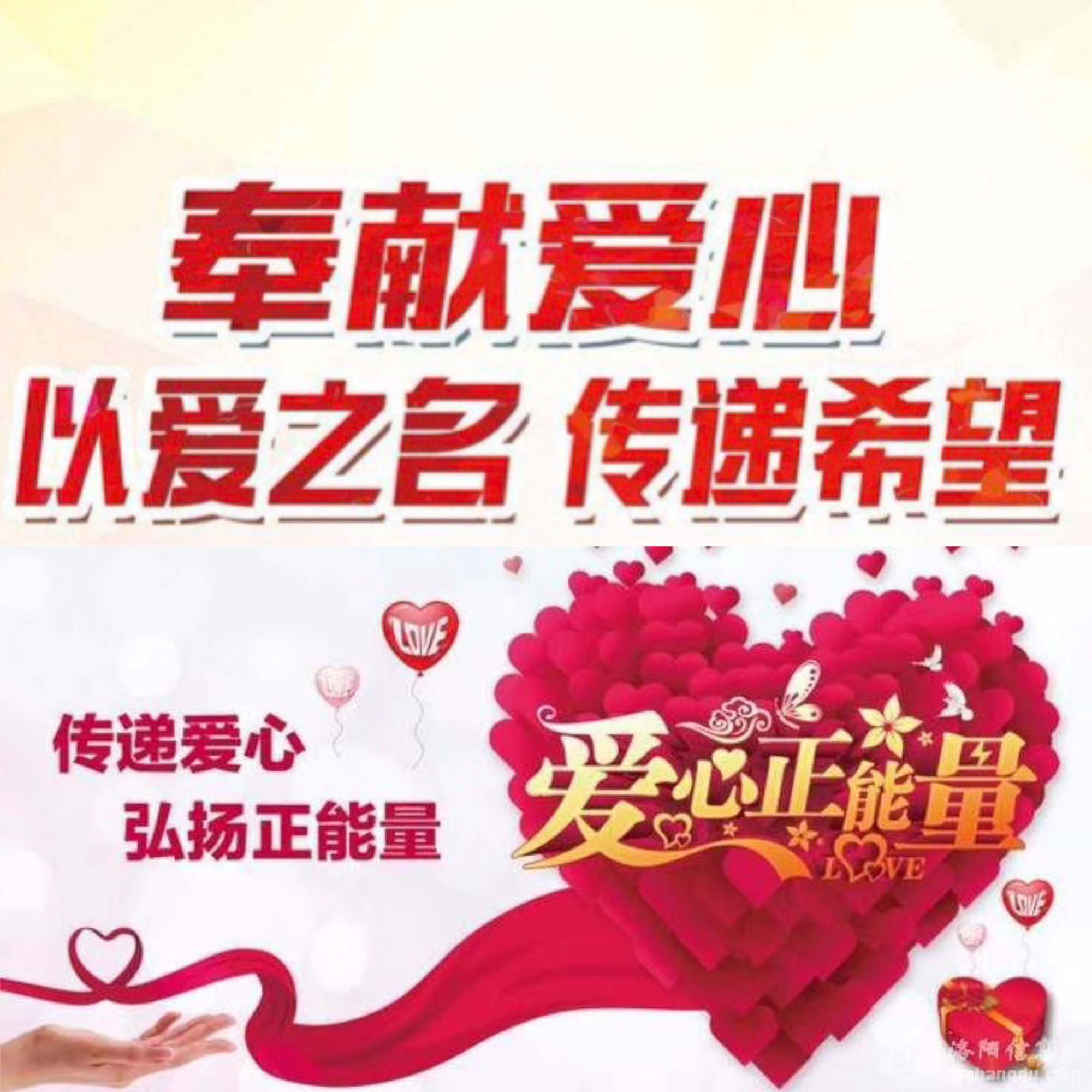 最新羽旋公益诗,最新羽旋公益诗，传递爱心，弘扬公益精神