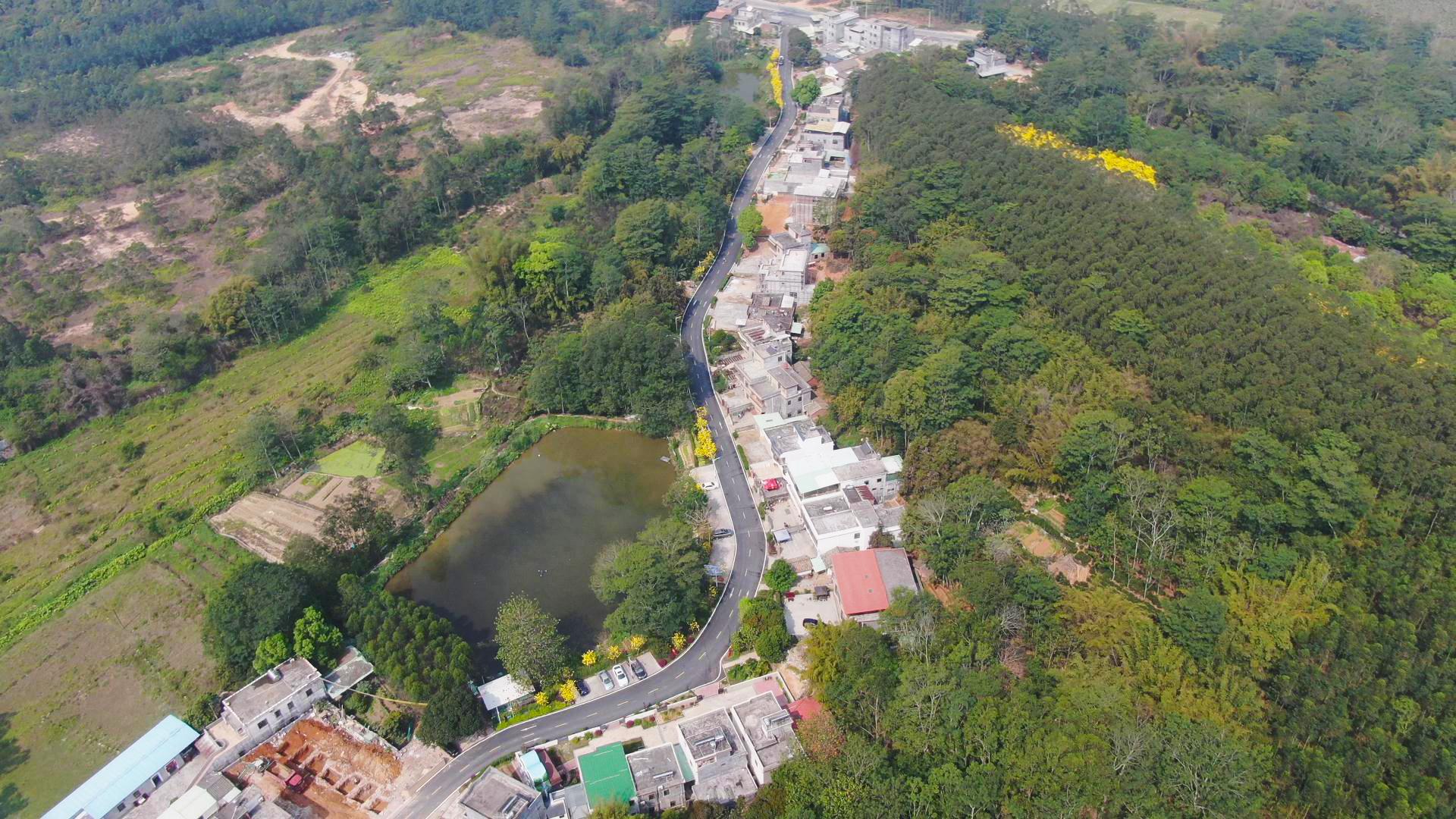 坪山最新动态，城市发展的前沿资讯
