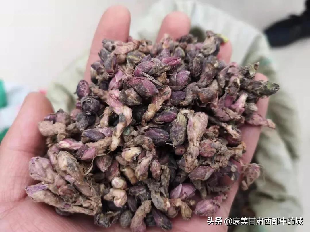 款冬花最新价格探讨与分析