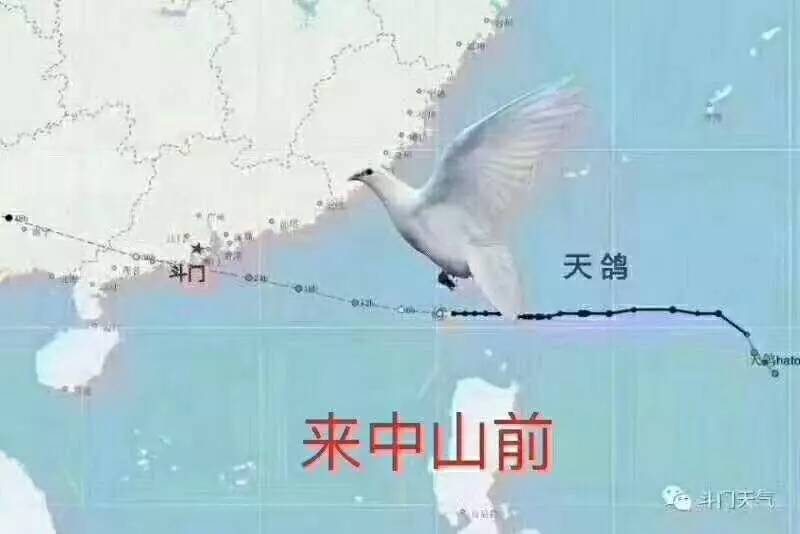 天鸽台风最新动态视频指南，如何获取并观看台风最新动态的视频？