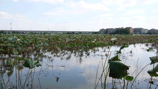 追热剧最新电视剧,视觉与情感的盛宴开启!