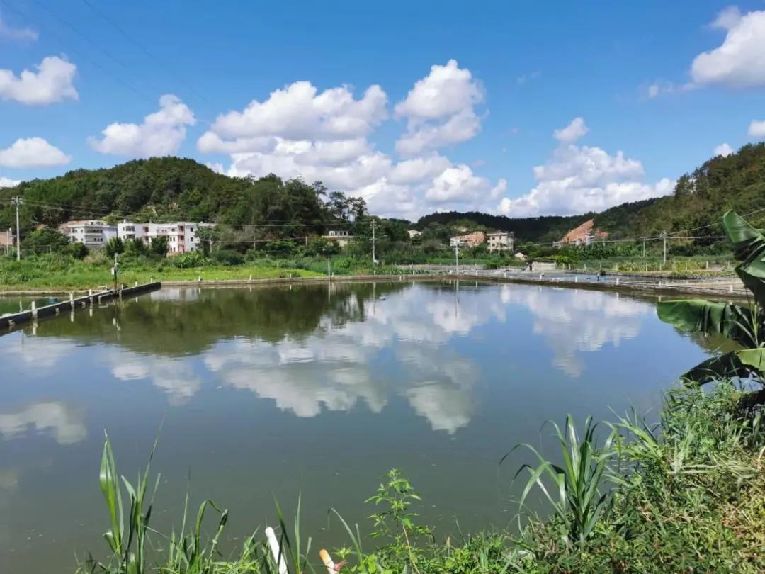 最新饲料营销模式深度探讨与探讨