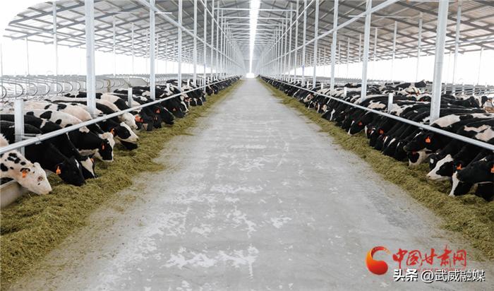 最新饲料营销模式深度探讨与探讨