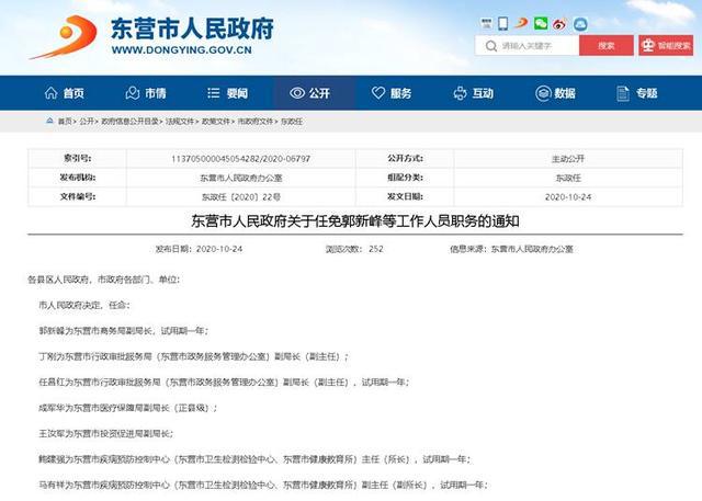 丹东人事任免最新动态更新