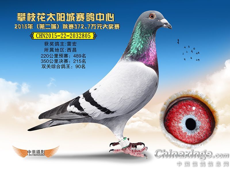 健伪天元公棚最新公告通知