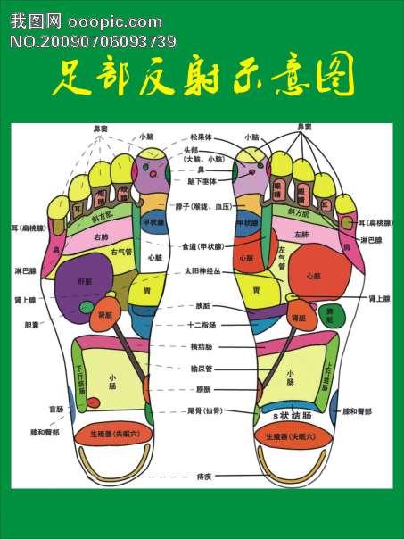 北京国油新能源 第269页