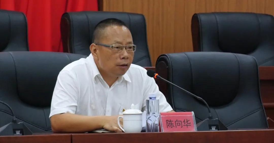 陈向华最新动态及相关观点深度解析