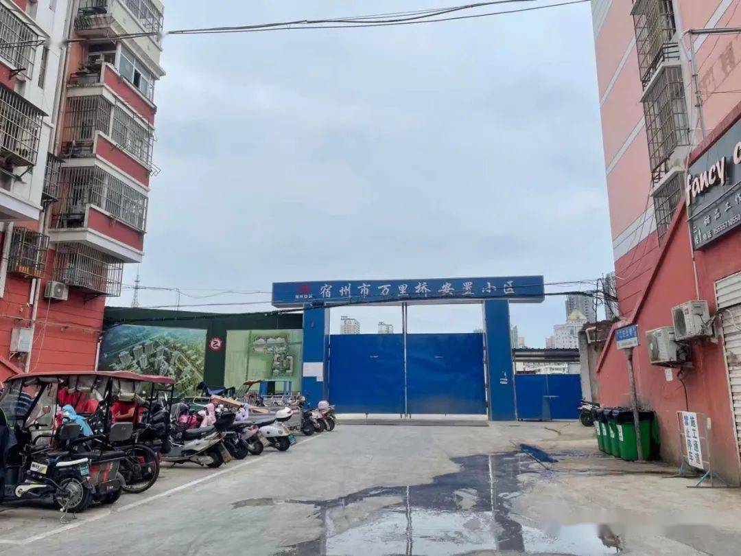 阜南县最新招标公告，时代的脉搏与地方繁荣同步发展